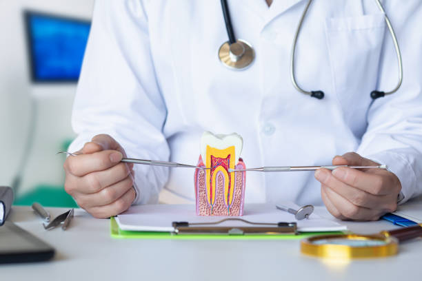 Best Pediatric Emergency Dentist in Ontario, OH